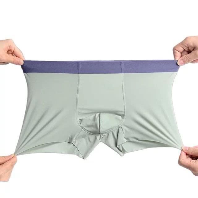 Men's Ice Silk Briefs Boxers (🔥Buy 1 Get 4 Free🔥)